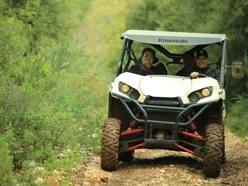 טרקטורוני נוף הורדים